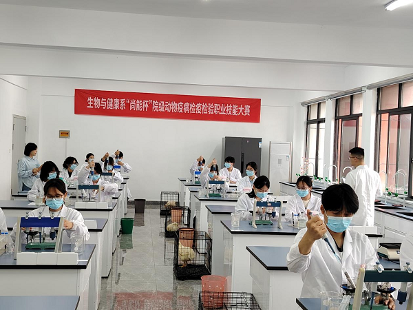 图片1.png