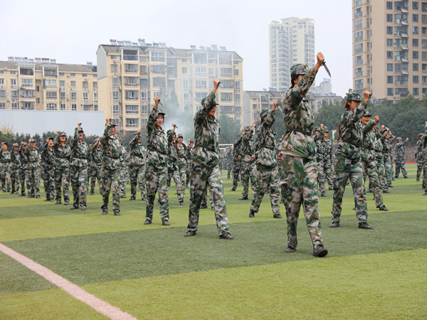 1761898807345183.jpg 匕首操.jpg