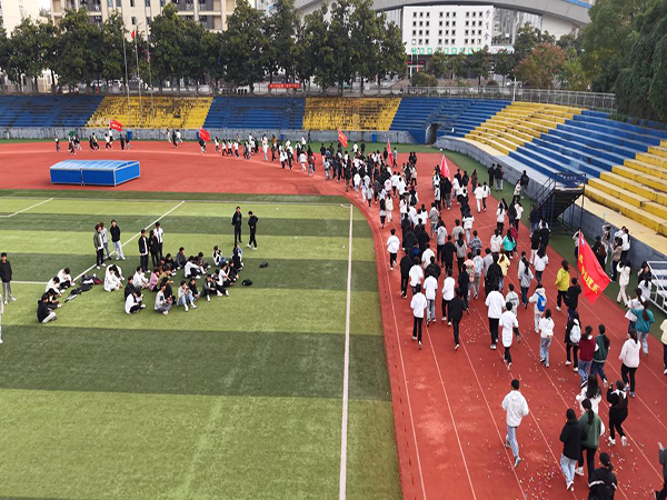 1762992570325885.jpg 5.jpg