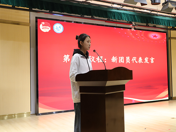 1763951267724030.jpg 4.jpg