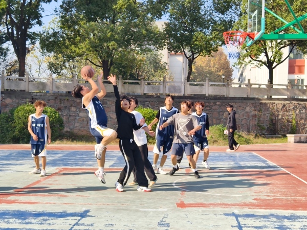 1763972310644849.jpg 2.jpg