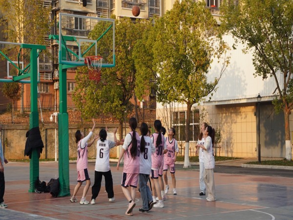 1764061389119936.jpg mmexport1764061185328.jpg