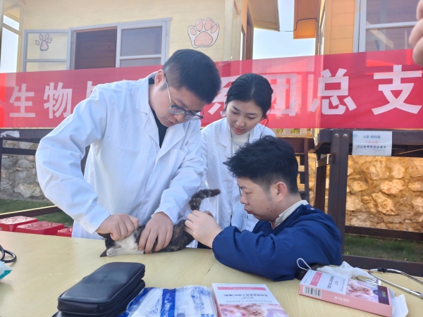 1764555765787185.jpg 猫村2(1).jpg