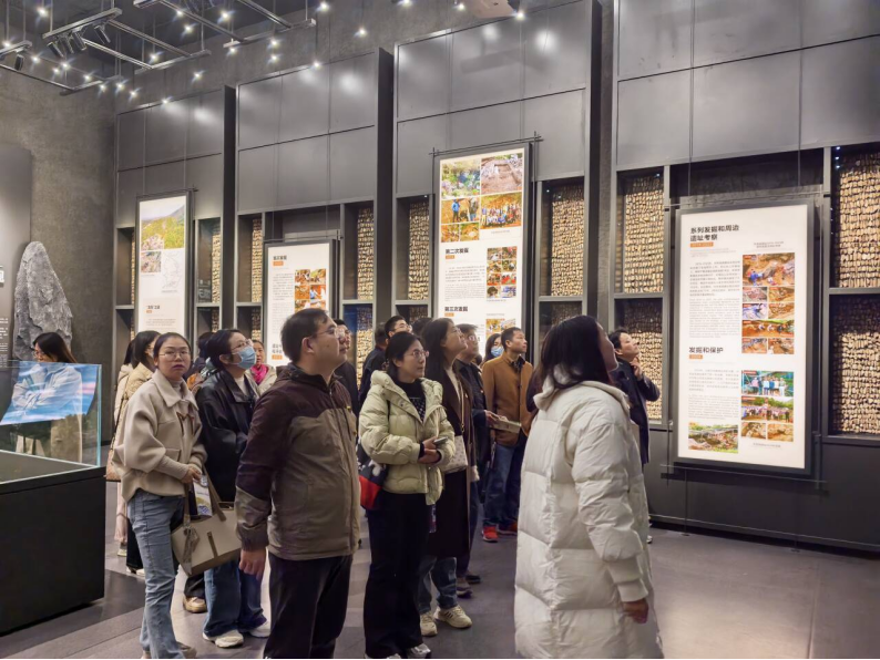 1764583541274156.png 1764583541274156.png