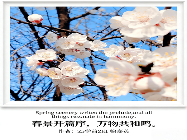 988b4aa8366fb0b2f23183ae9bf3ee37.png